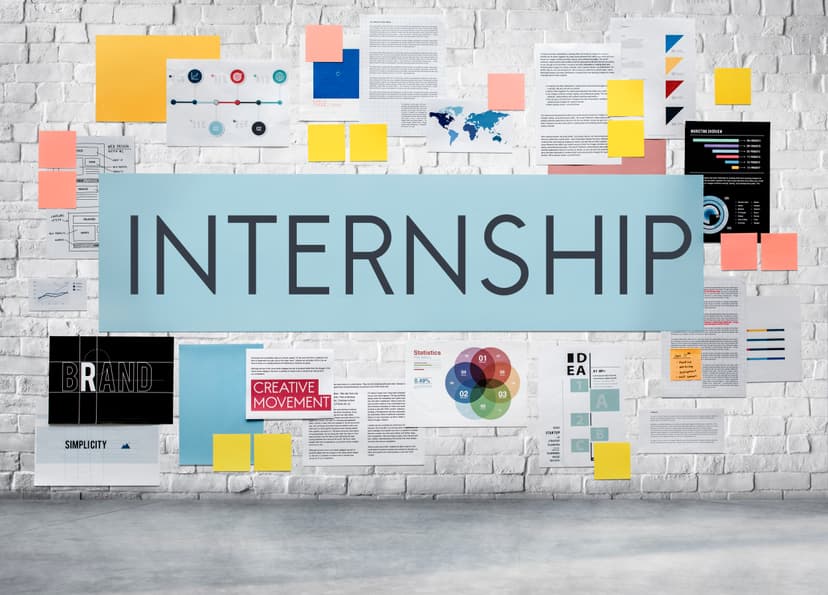 Internship Opportunities
