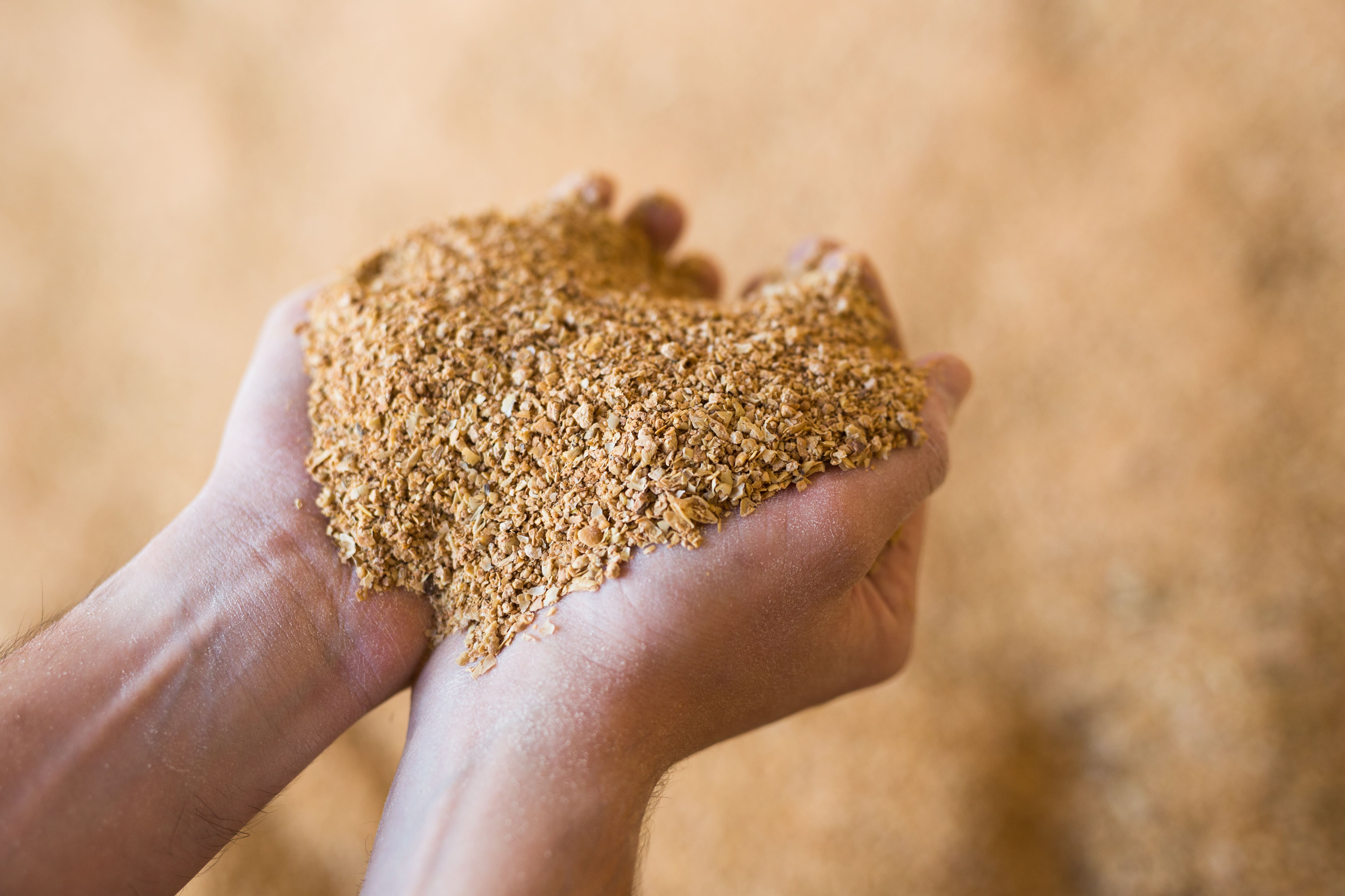 Soybean Meal
