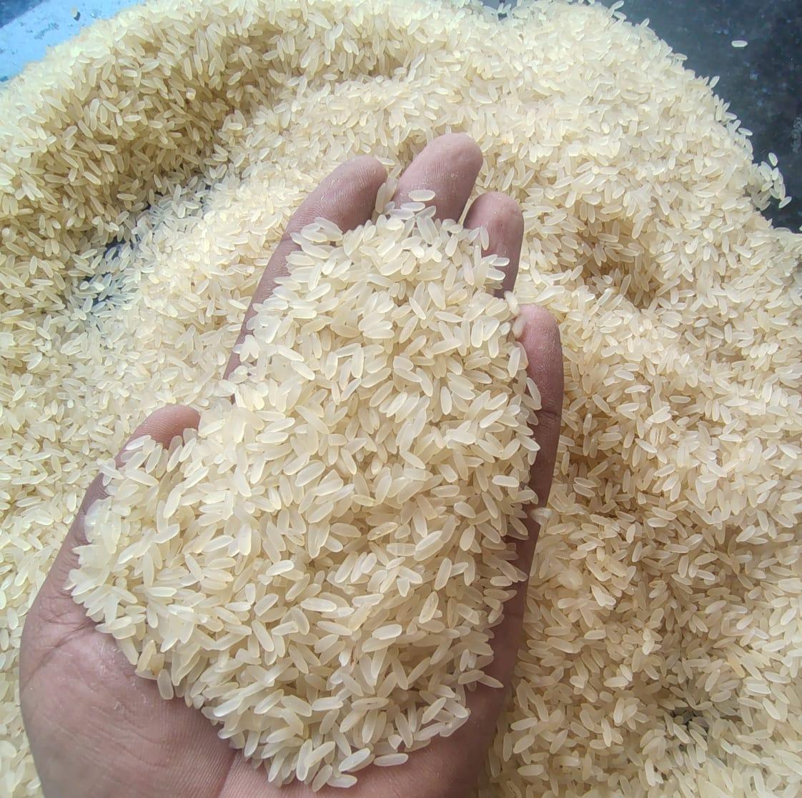 IR64 Parboiled Rice
