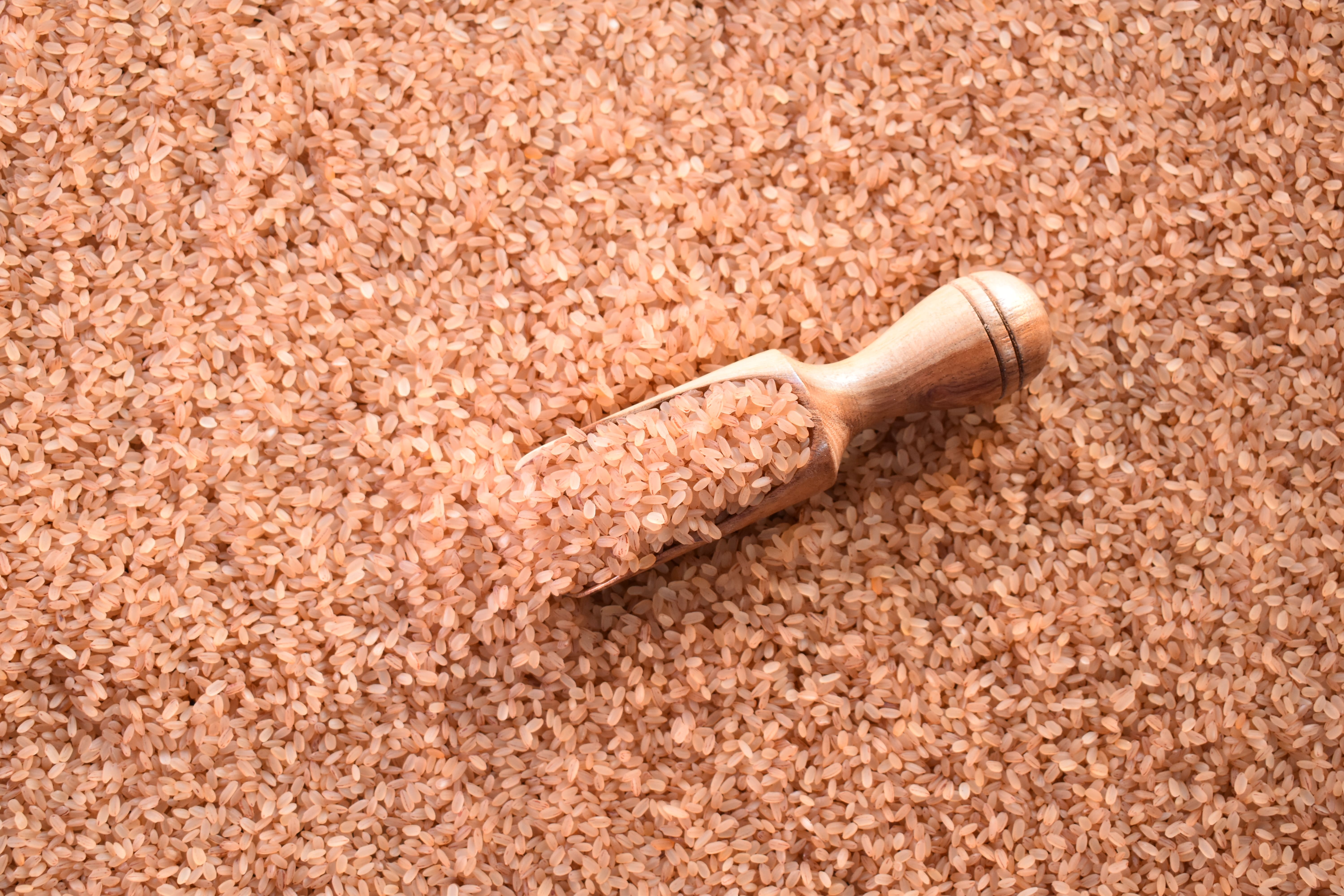 Palakkadan Matta Rice